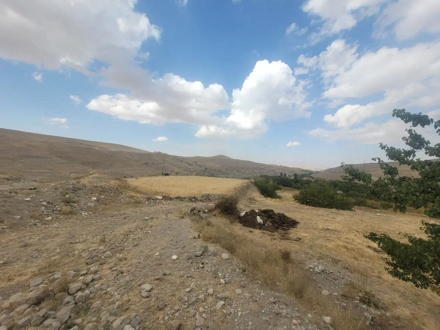 فروش ۱۶۰۰ متری|فروش دفتر صنعتی، کشاورزی، تجاری|باسمنج, |دیوار