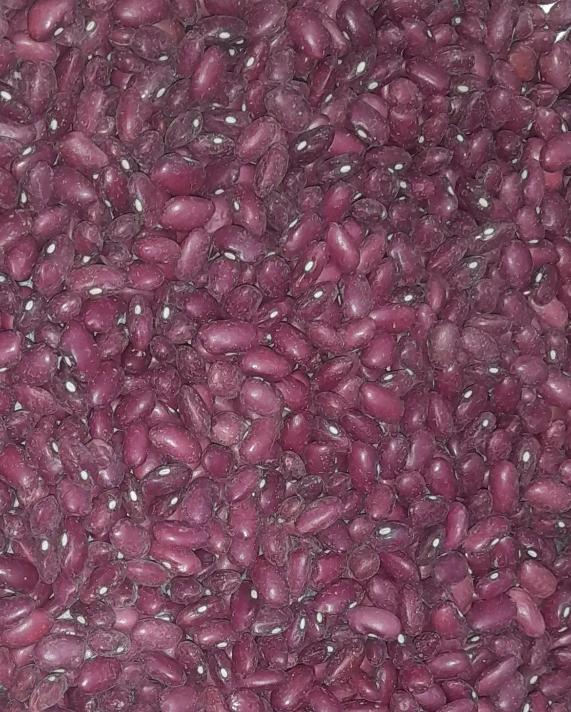 لوبیا قرمز یاقوتی با لوبیا چیتی|خوردنی و آشامیدنی|شیدا, |دیوار