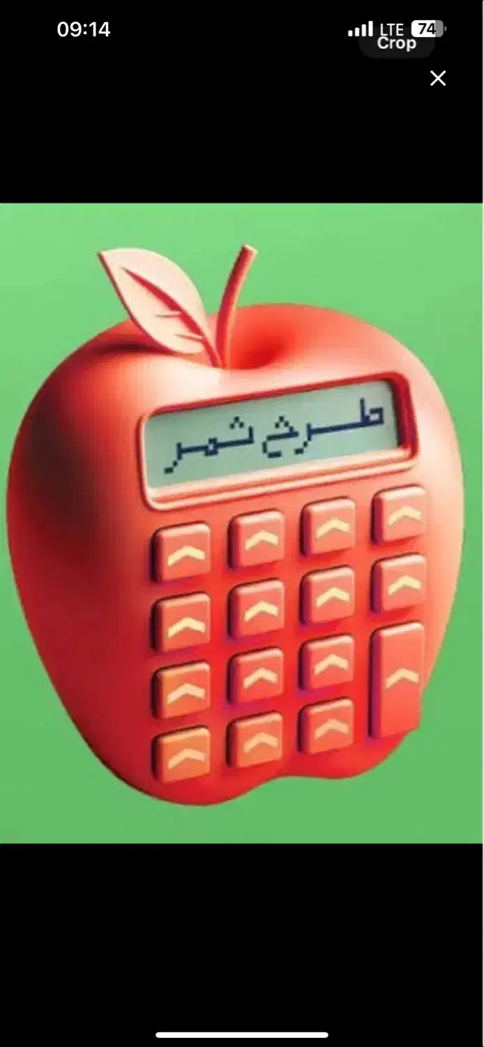 وام طرح ثمر ۳۰۰تومان ۴درصد..|خدمات مالی، حسابداری، بیمه|اهواز, بهارستان|دیوار