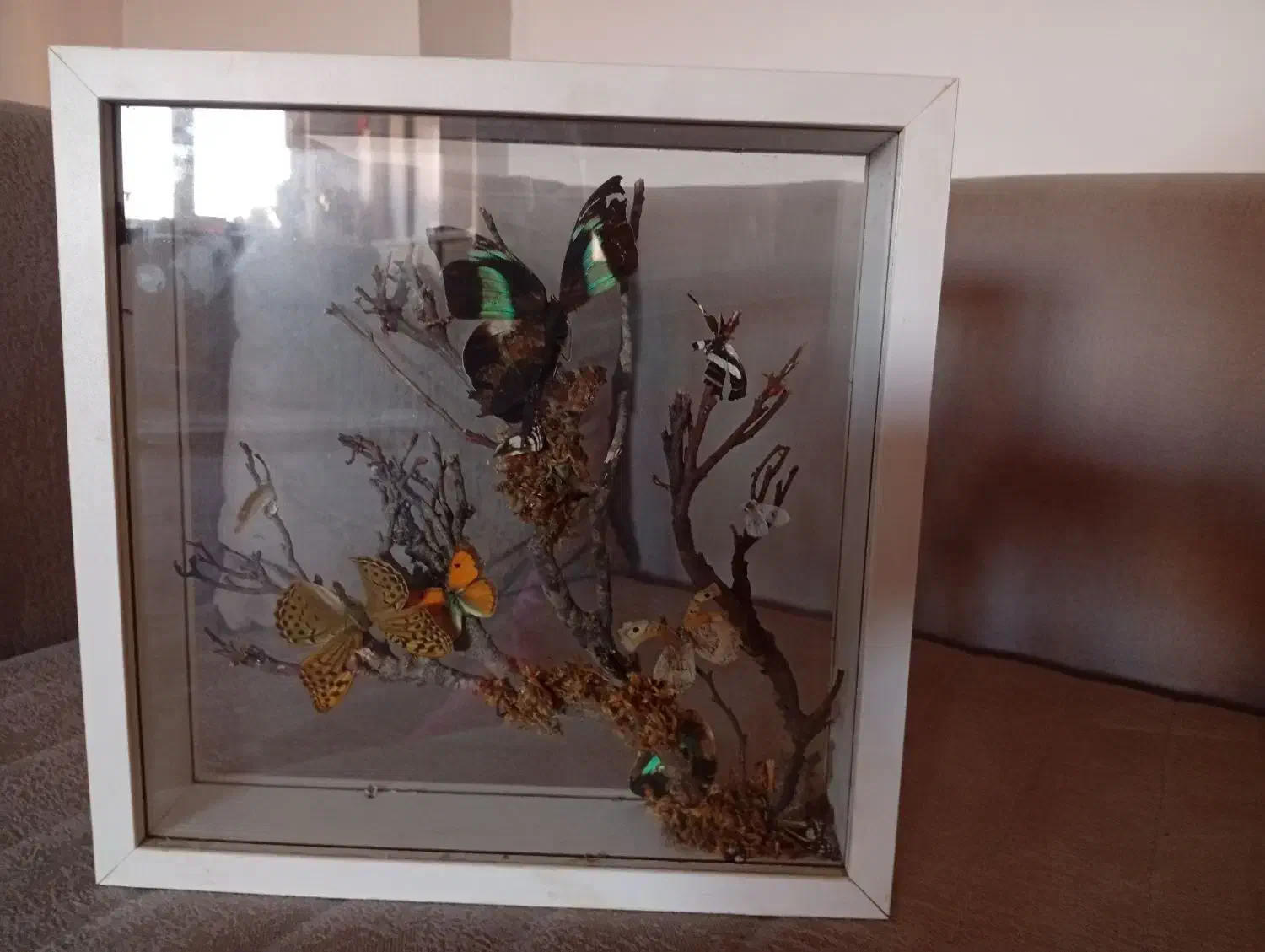 دکوری وسیله آشپز خانه|حراج|محمدیه-قزوین, |دیوار