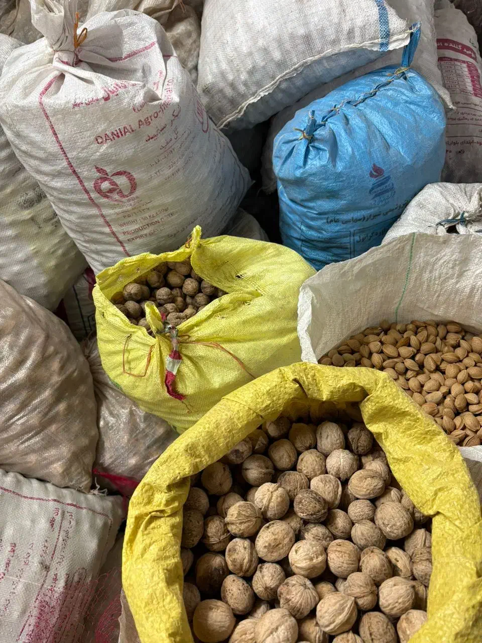 فروش ویژه آلو بخاراگردو کشمش|خوردنی و آشامیدنی|شیراز, نصر|دیوار