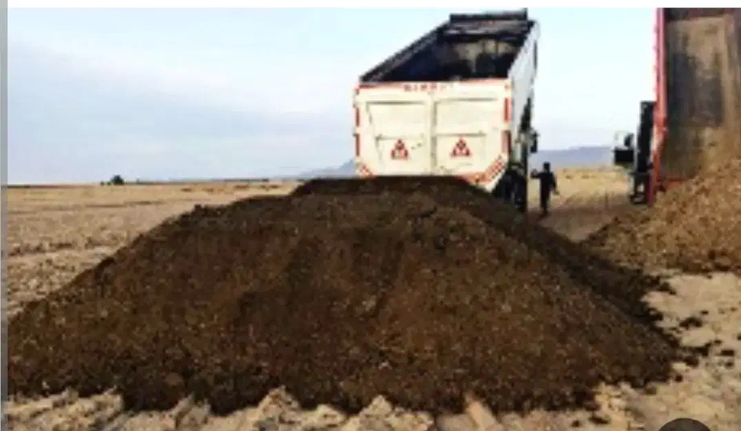 فروش کود گاوی خشک  و رطوبت دار|خدمات باغبانی و درختکاری|زرقان, |دیوار