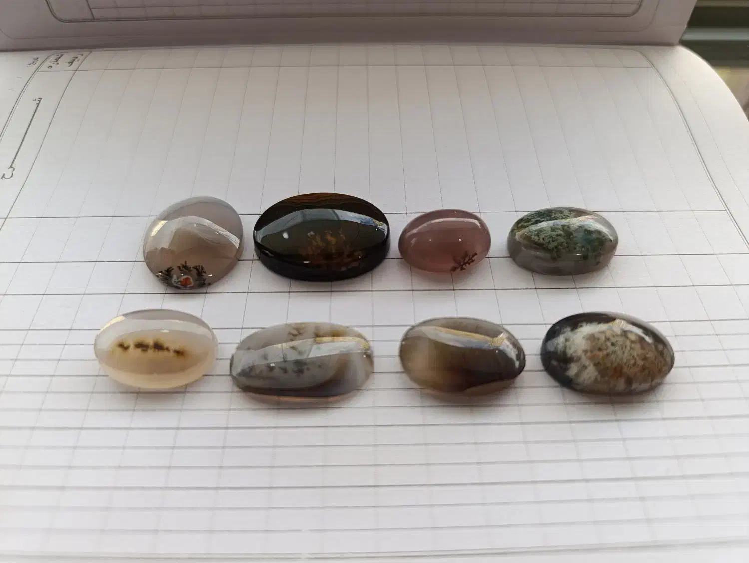 شجر|جواهرات|تاکستان, |دیوار