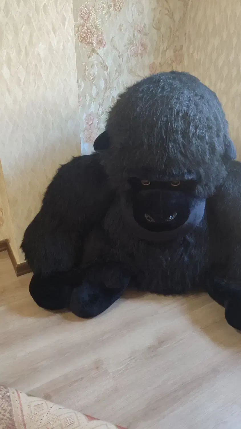 گوریل بسیار زیبا|اسباببازی بچه|تهران, اقدسیه|دیوار