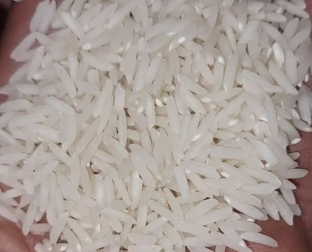 برنج جمشیدی گیلان|خوردنی و آشامیدنی|هشتگرد, هشتگرد قدیم|دیوار