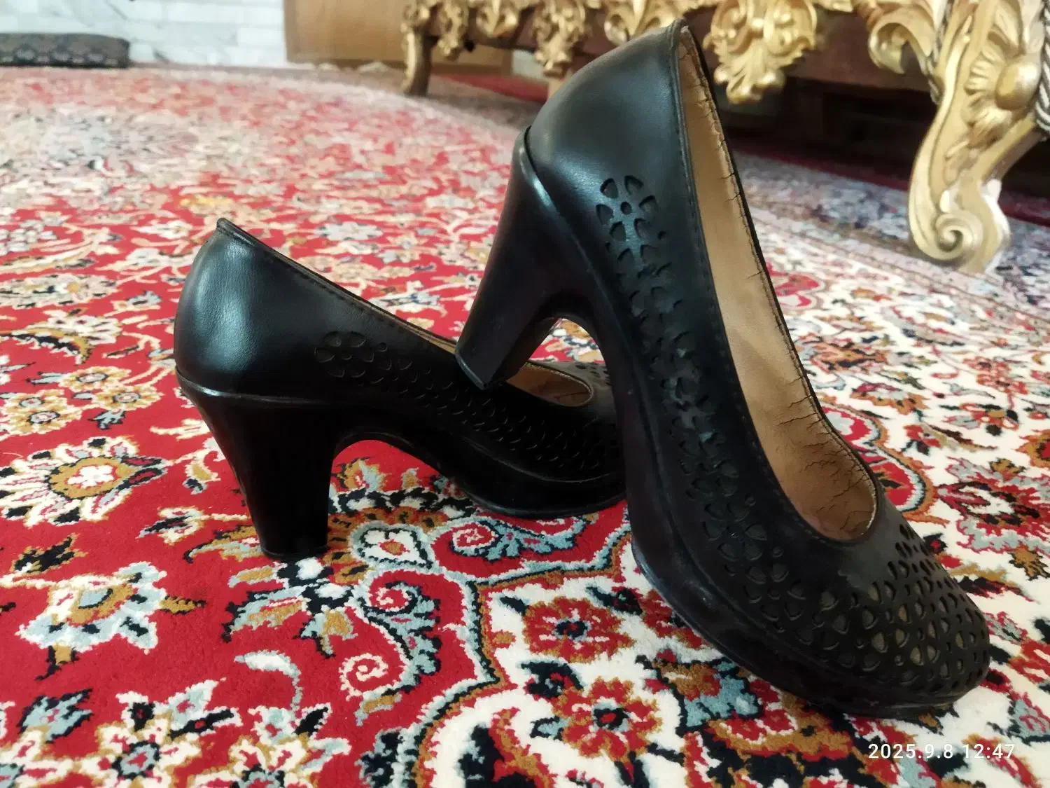 کفش مجلسی|کیف، کفش، کمربند|زرند, |دیوار