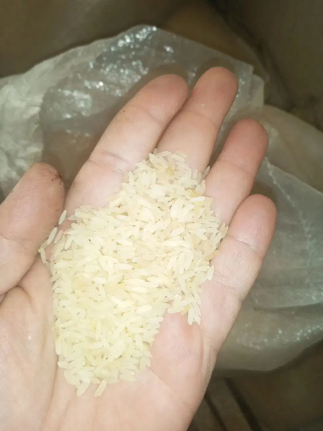 برنج هندی قیمت مناسب|خوردنی و آشامیدنی|اصفهان, ملک‌شهر|دیوار
