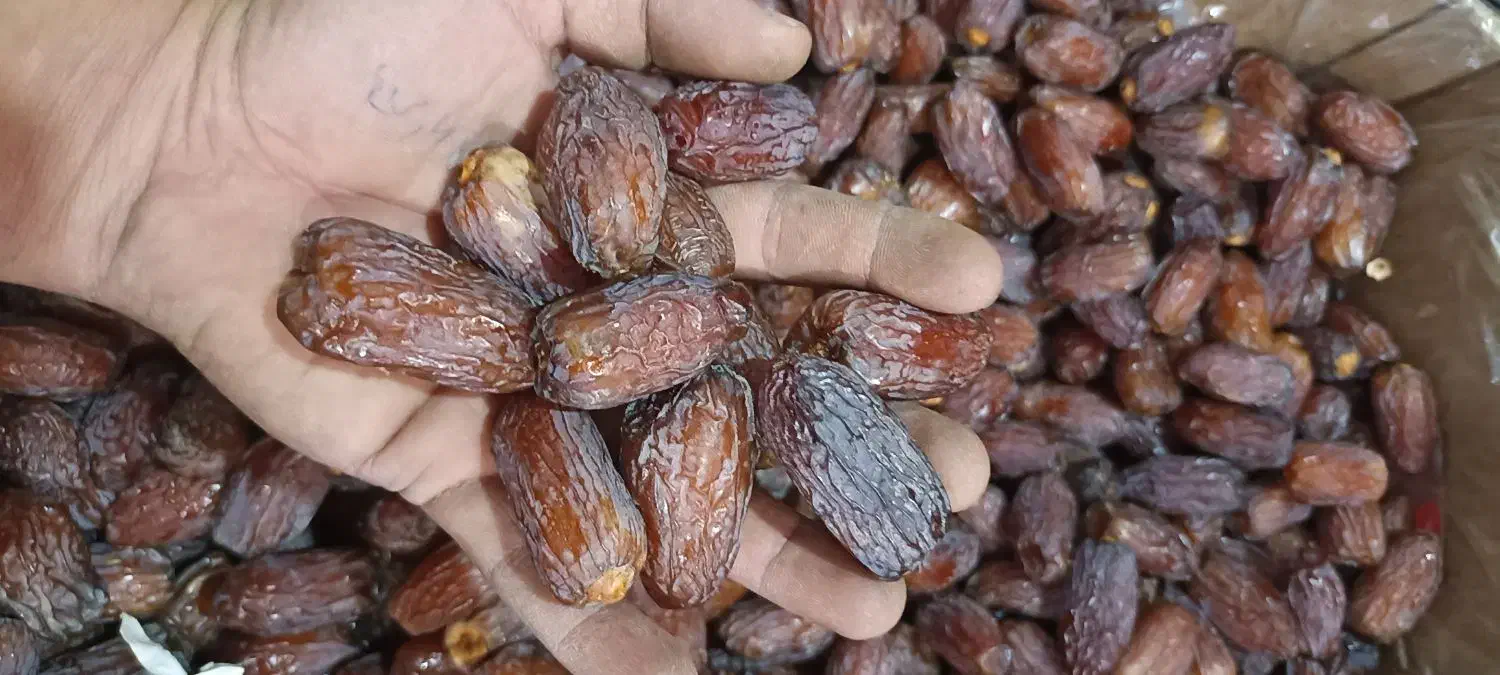 مجول|خوردنی و آشامیدنی|شیراز, منطقه هوایی شهید دوران|دیوار