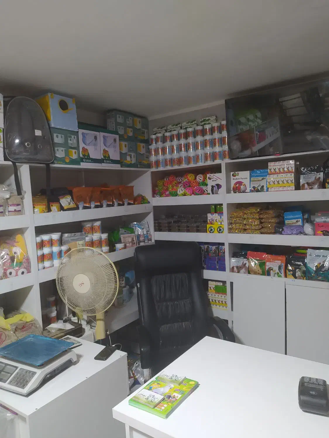 فروش انواع پرنده و ملزومات طوطی در مهرگان|پرنده|محمدیه-قزوین, |دیوار