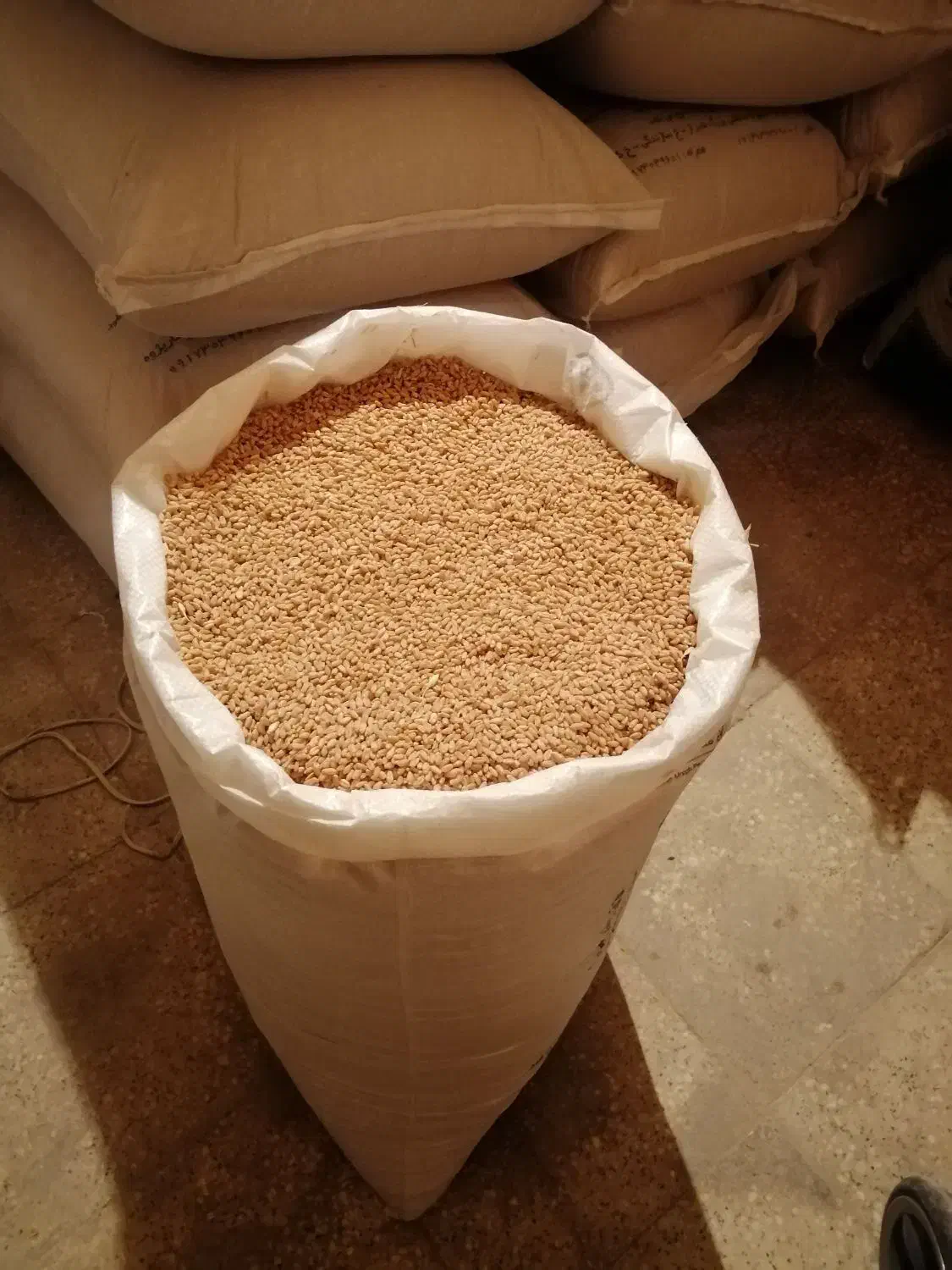 گندم بذر سیروان به مقدار ده تن|خدمات باغبانی و درختکاری|کر, |دیوار