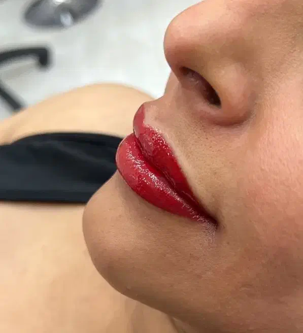 فیبروز میکروبلیدینگ ابرو خط چشم شیدینگ لب|خدمات آرایشگری و زیبایی|سبزوار, کاشفی شمالی (دادگستری)|دیوار