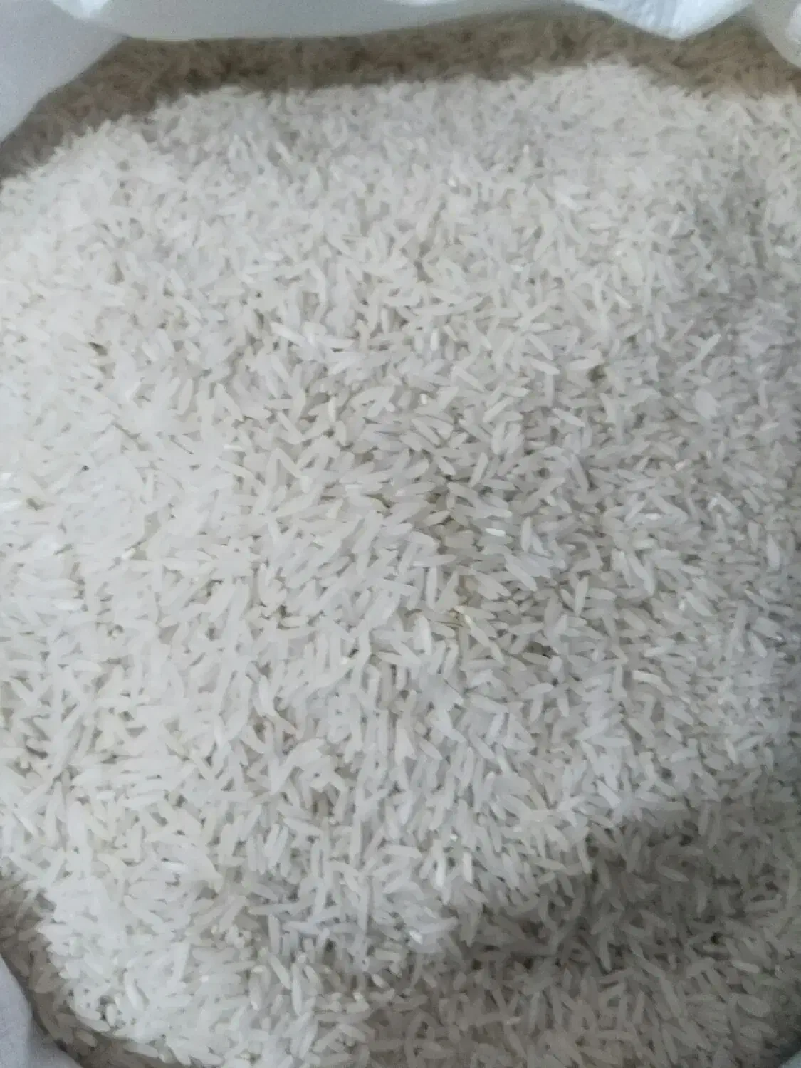 برنج فروشی|خوردنی و آشامیدنی|گرگان, |دیوار