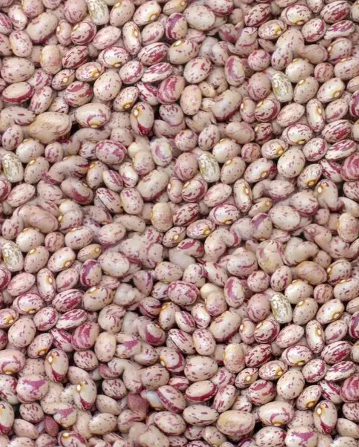 لوبیا|خوردنی و آشامیدنی|مشگین شهر, |دیوار
