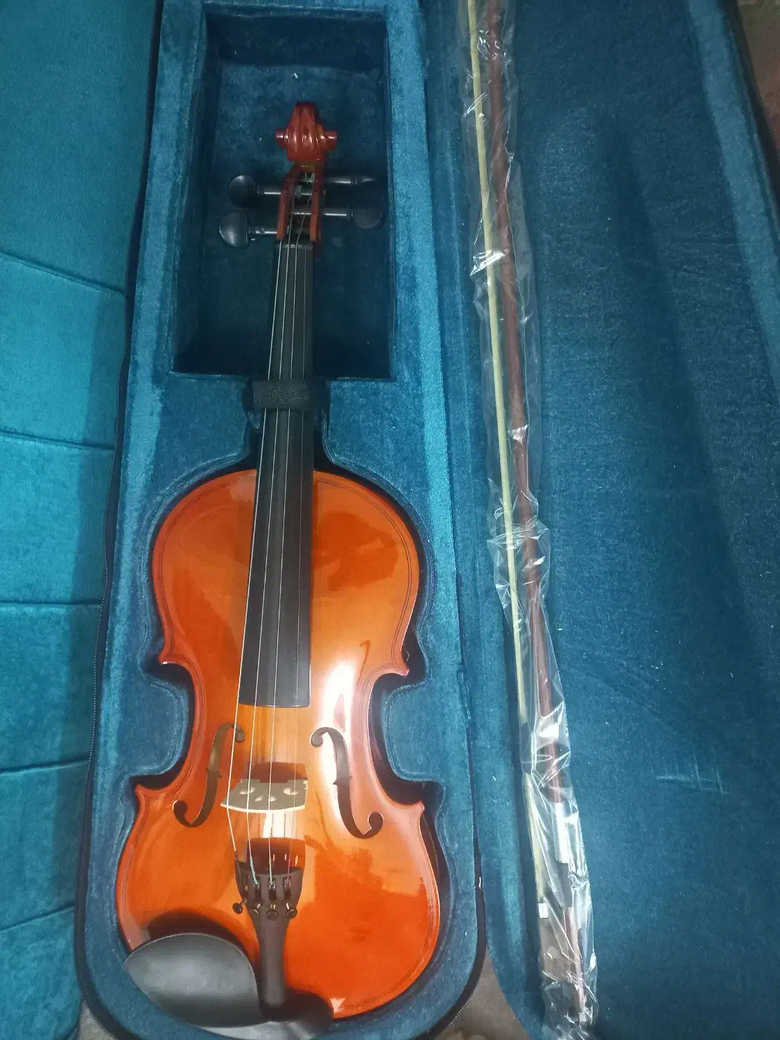 ویولون|ویولن|یزد, |دیوار