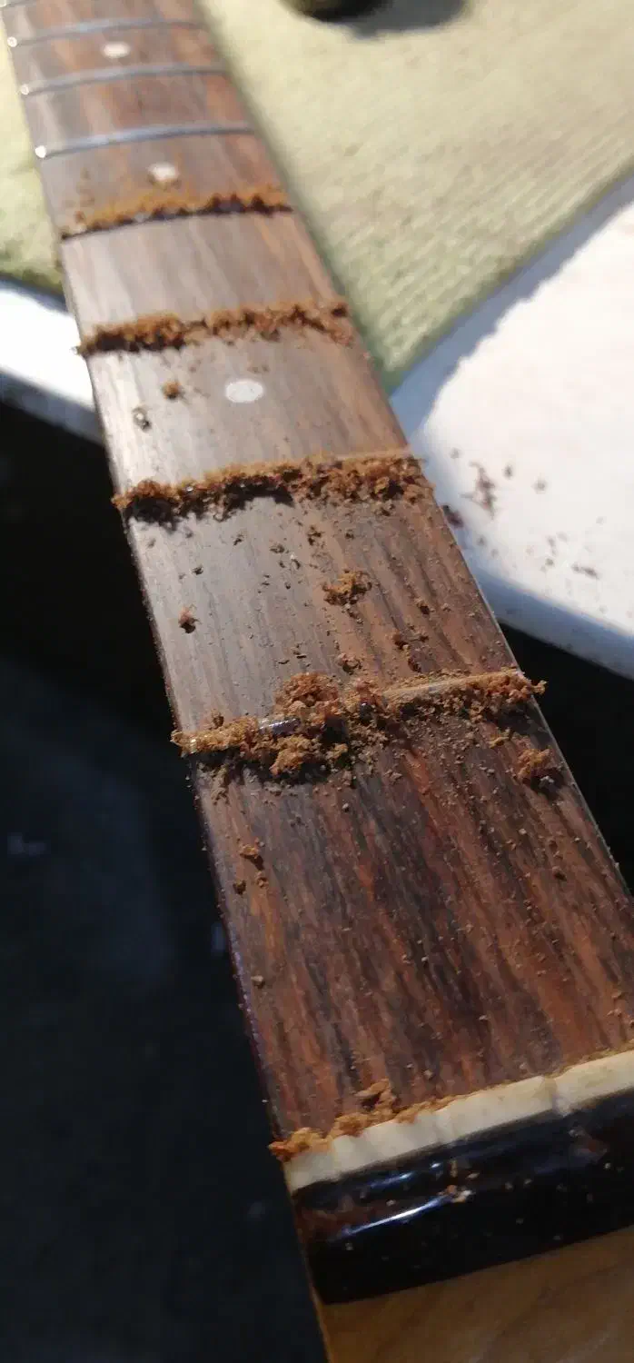 خدمات فنی در زمینه ساخت و تعمیر الات موسیقی|گیتار، بیس، امپلیفایر|تهران, سازمان آب|دیوار