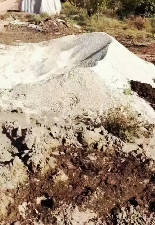 زئولیت ویژه کمپوست کود حیوانی|خدمات باغبانی و درختکاری|قزوین, |دیوار