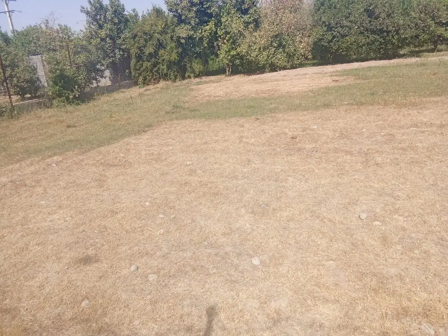 یک قطعه۶۰۰ متری باغ در اسکندر آباد|فروش خانه و ویلا|اندیمشک, |دیوار