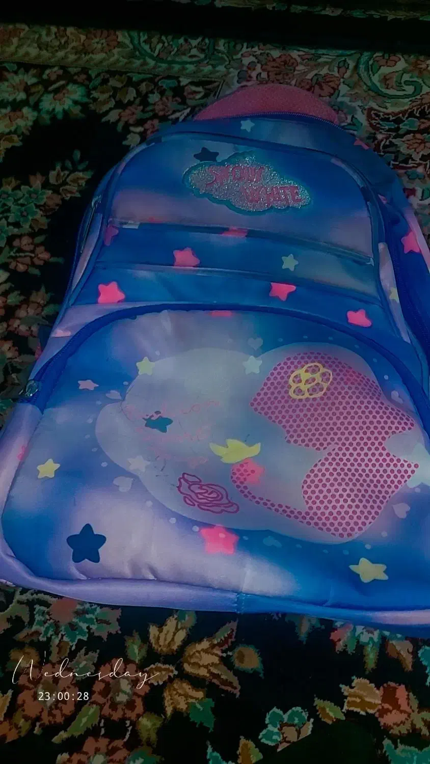 کوله پشتی مدرسه|کیف، کفش، کمربند|زاهدان, |دیوار