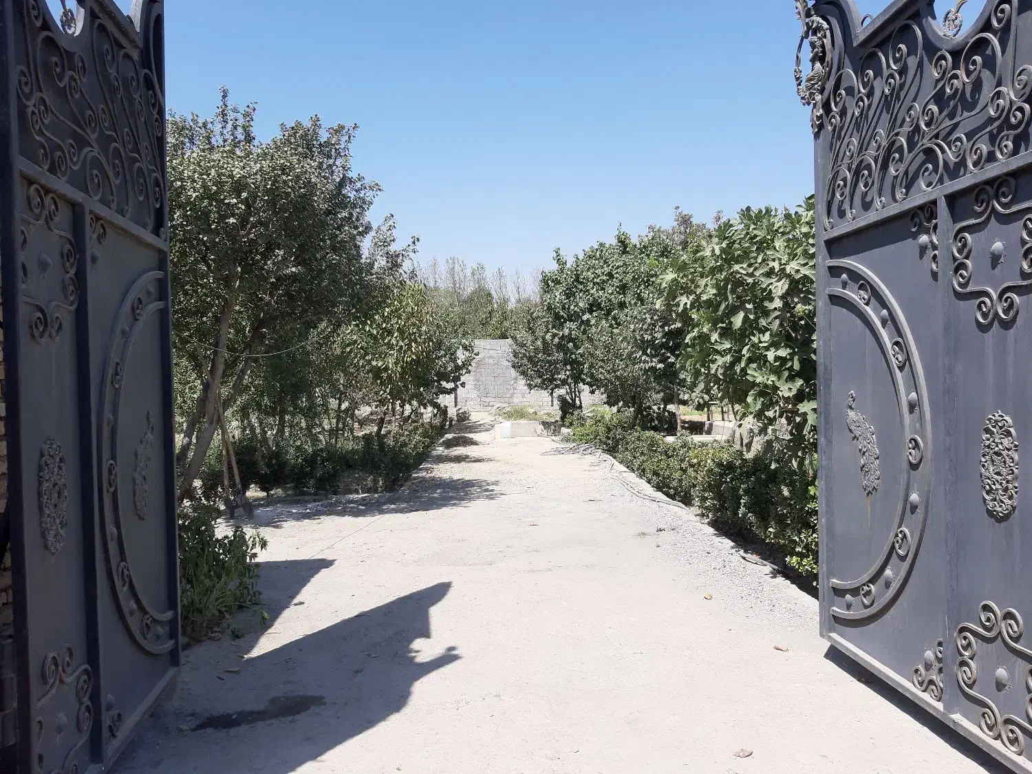 باغچه نقلی سنددار مناسب مصرف یاسرمایه گذاری کاسبی|فروش زمین و ملک کلنگی|تهران, شهرک غرب|دیوار