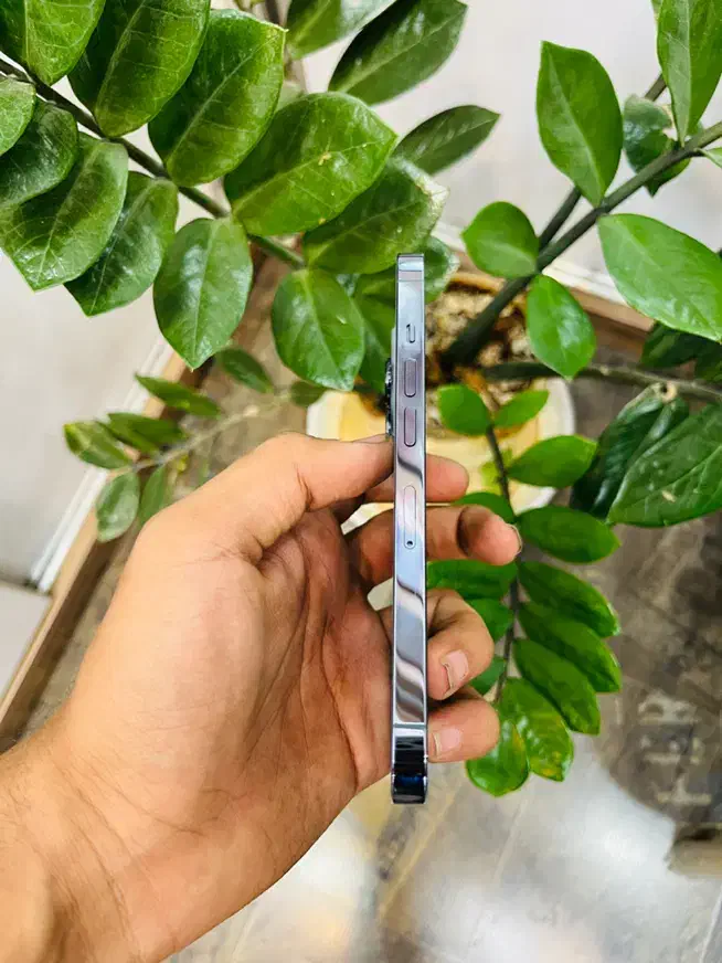 اپل iPhone 13 Pro با حافظهٔ 128 گیگابایت|موبایل|قدس, شهر‌قدس|دیوار