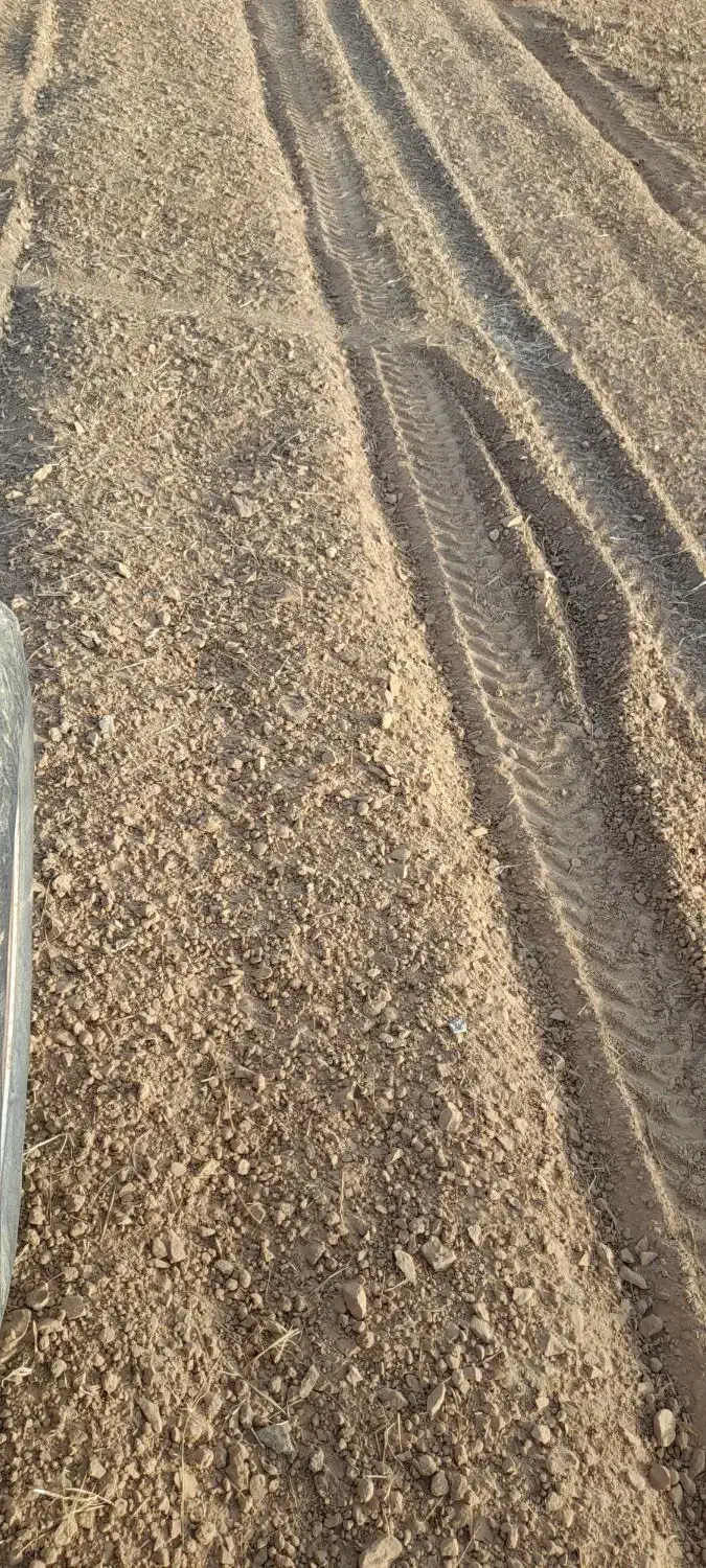 سنگ جمع کن تمام اتوماتیک|خدمات باغبانی و درختکاری|قیدار, |دیوار