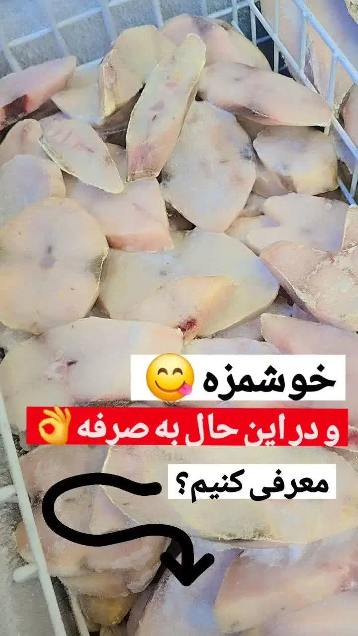 ماهی جنوب|ماهی|کاشان, سیفی آباد|دیوار