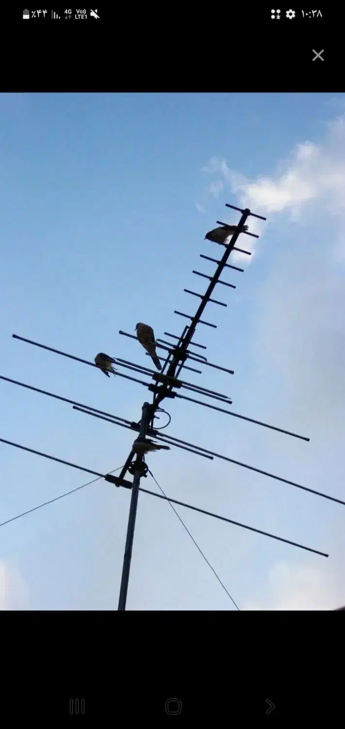 نصاب انتن|صوتی و تصویری|شیروان (خراسان), |دیوار