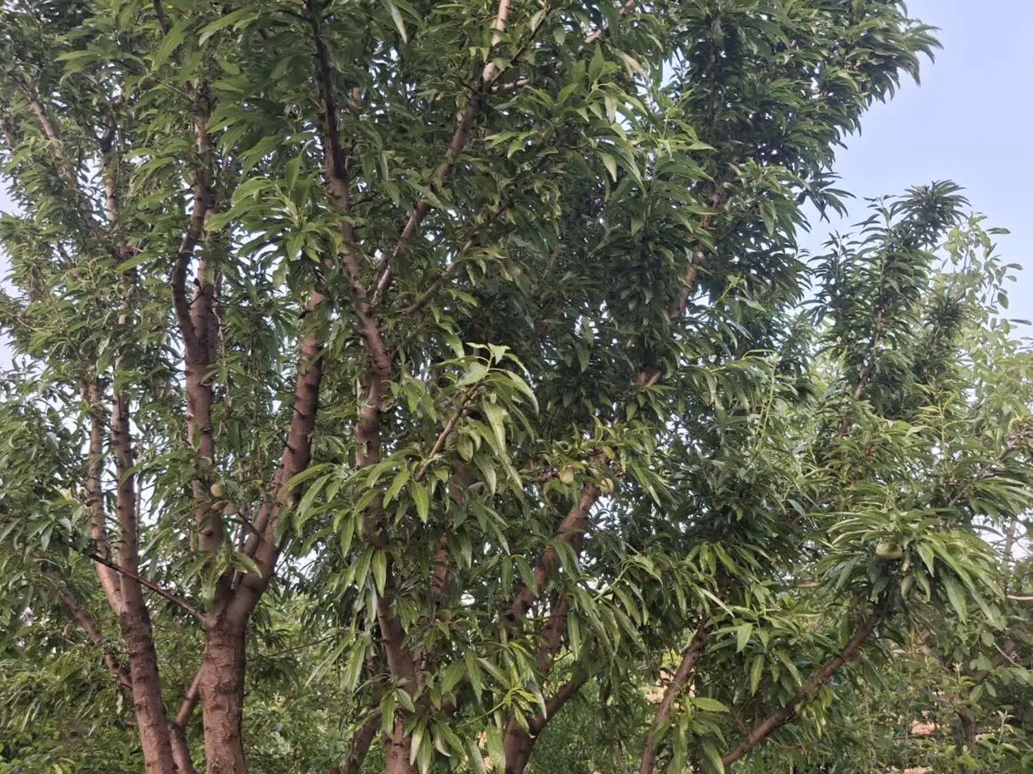 تصویر 16