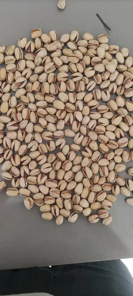 مغز پوک روابی دهن بست نخودو|خوردنی و آشامیدنی|بافق, |دیوار