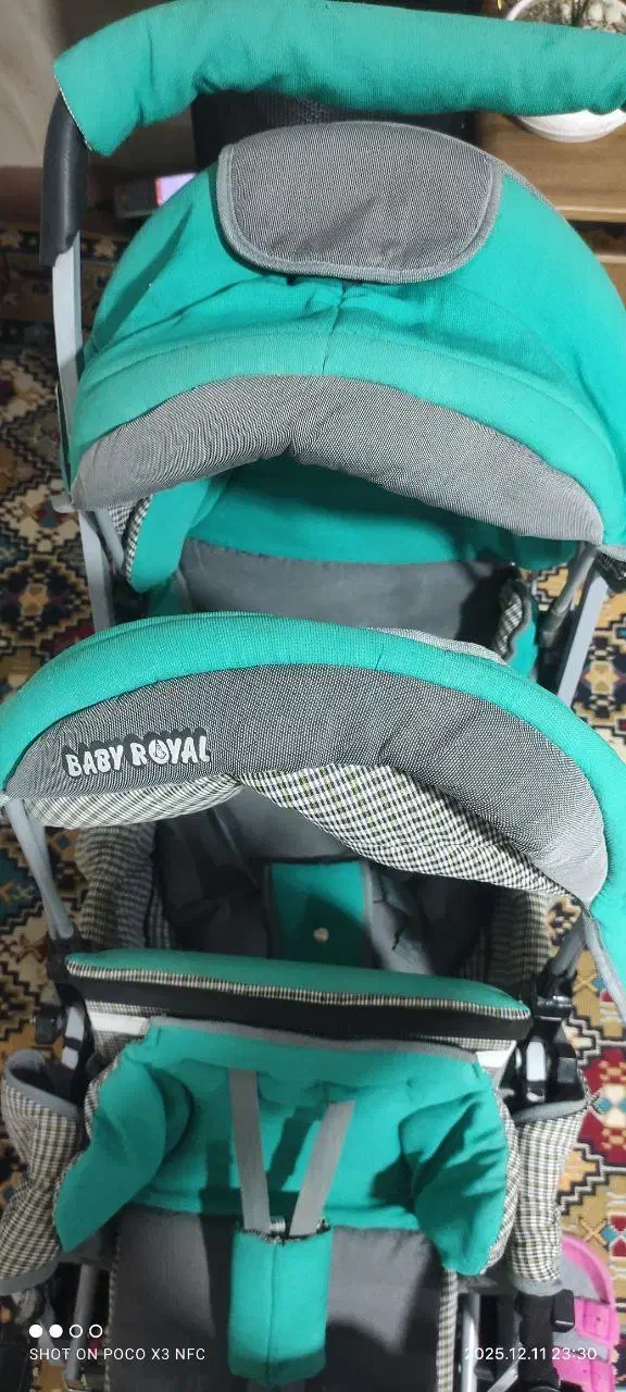 کالسکه دوقلو دلیجان|کالسکه و لوازم جانبی|آشخانه, |دیوار