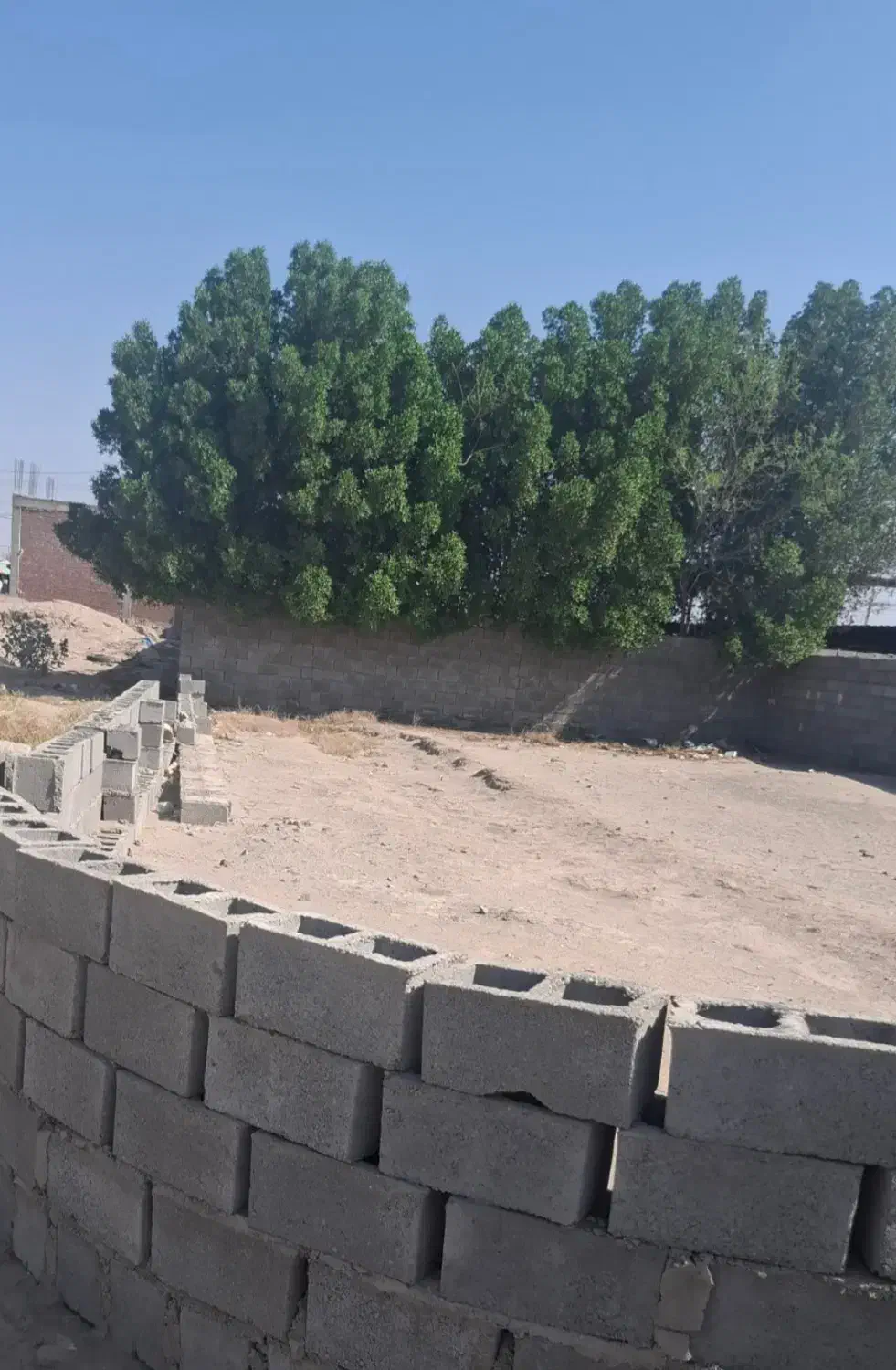 زمین مسکونی|فروش زمین و ملک کلنگی|رودبار (کرمان), |دیوار