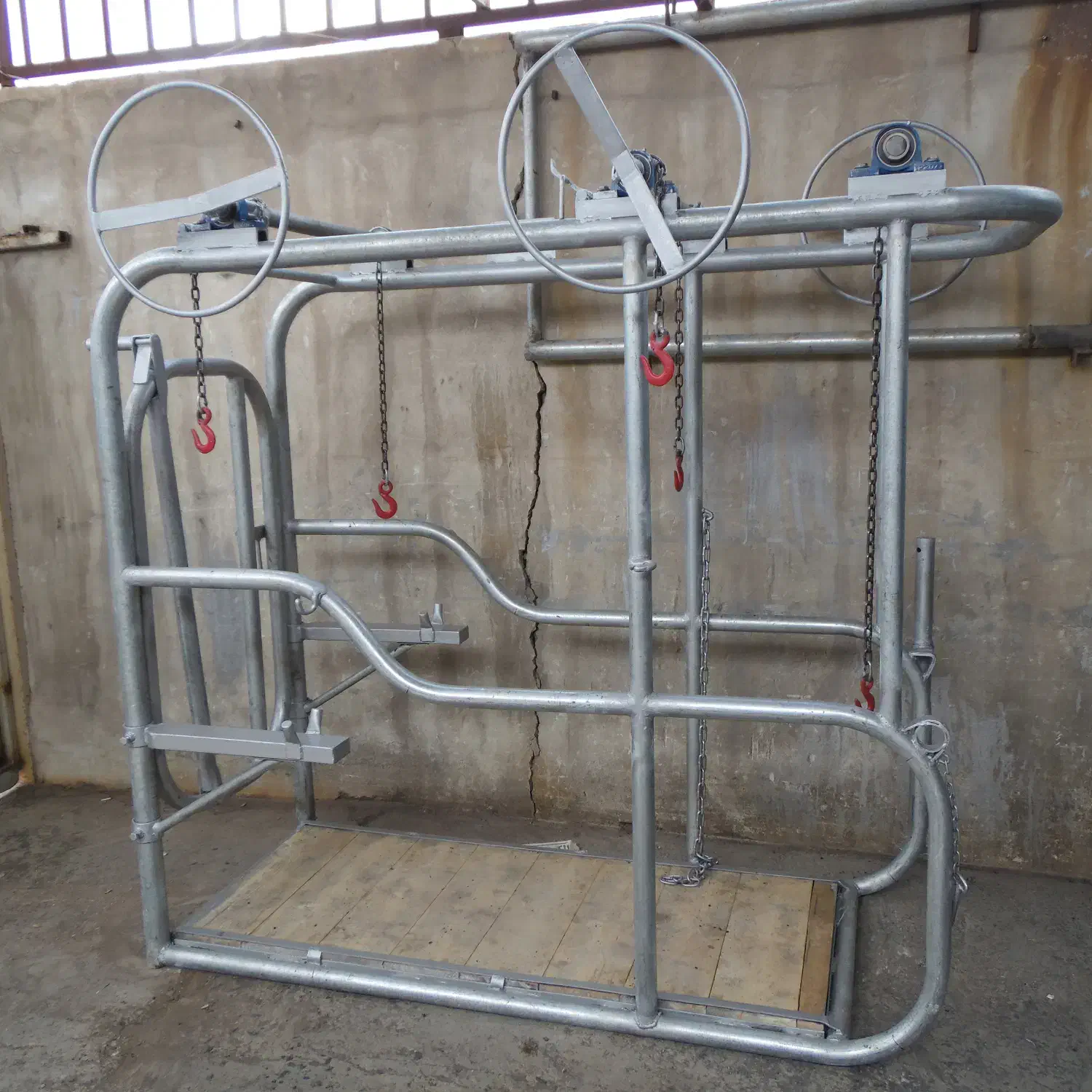 باکس کامل سمچین گاو|لوازم جانبی حیوانات|بوئین زهرا, |دیوار