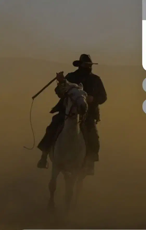 آموزش اسب سواری و باشگاه سوارکاری|اسب و تجهیزات اسب‌سواری|تبریز, |دیوار