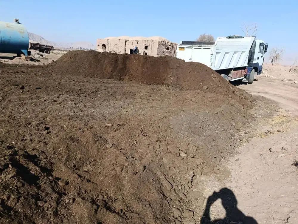 کودگوسفند|خدمات باغبانی و درختکاری|کرمان, |دیوار