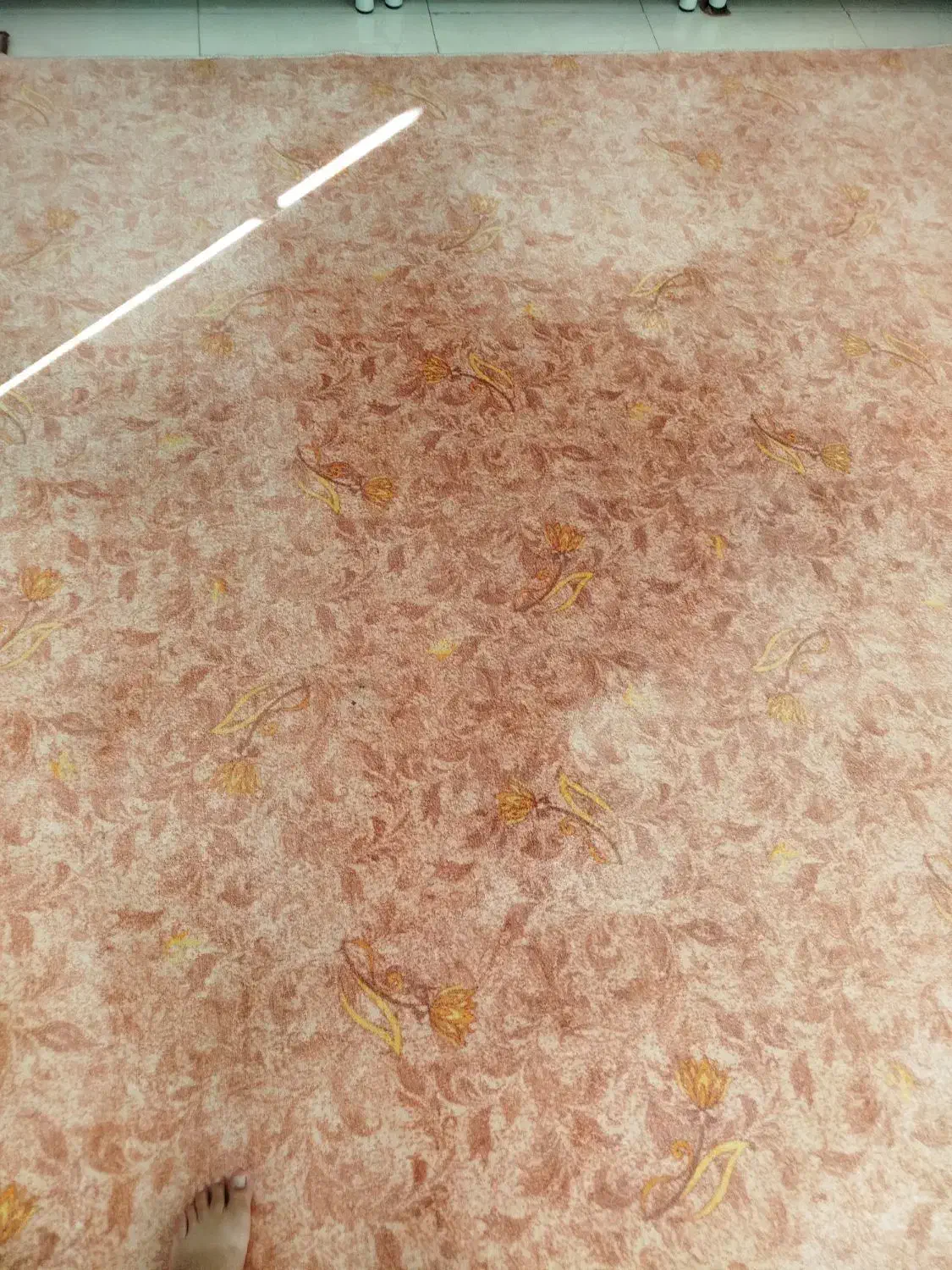 موکت 12متری بدون هیچ زدگی|موکت|ملکشاهی, |دیوار