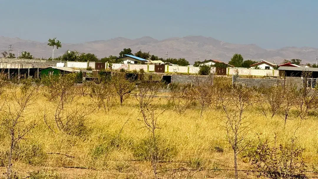 باغچه زمین چهاردیواری مامونیه بعد از پرند|فروش زمین و ملک کلنگی|زرندیه, |دیوار