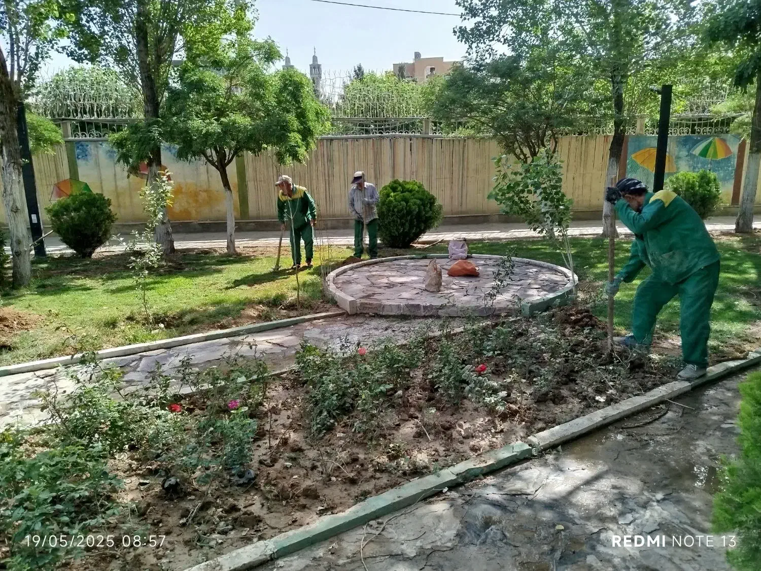 متخصص هرس درختان میوه و درختان خیابان|خدمات باغبانی و درختکاری|اسلامشهر, صادقیه|دیوار