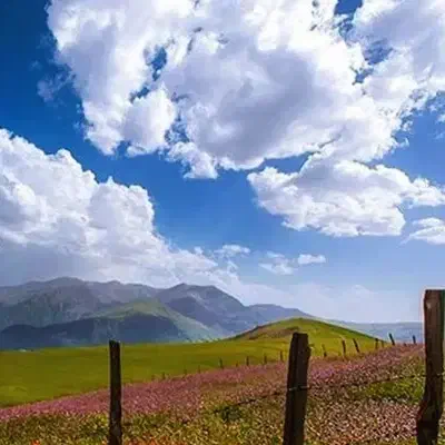 زمین326متر/ بلوار ارم|فروش زمین و ملک کلنگی|یاسوج, |دیوار