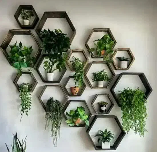 شلف دیواری|کتابخانه، شلف، قفسههای دیواری|نجفآباد, جامی|دیوار