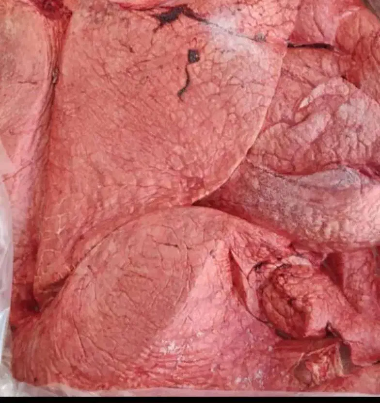 پخش الایش دامی|خوردنی و آشامیدنی|جلفا, |دیوار