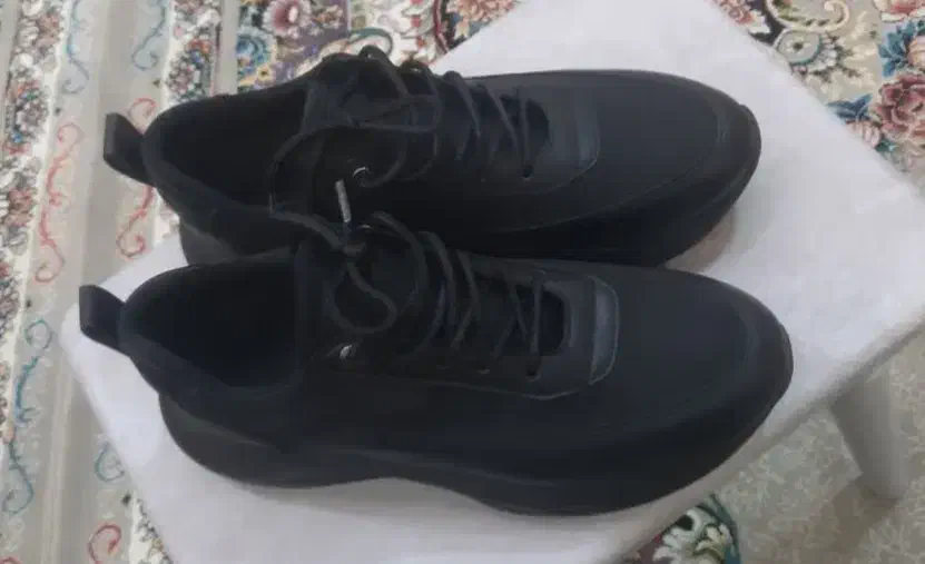 کفش|کیف، کفش، کمربند|آران و بیدگل, |دیوار