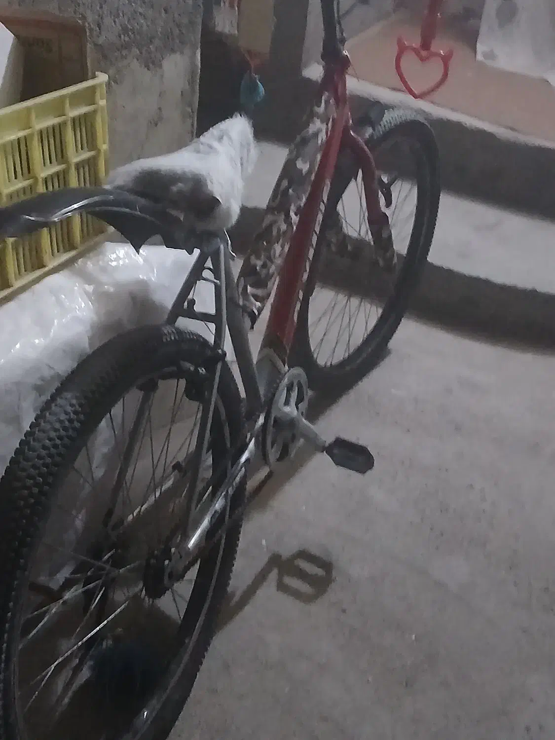 دوچرخه ۲۶|دوچرخه، اسکیت، اسکوتر|ارومیه, |دیوار