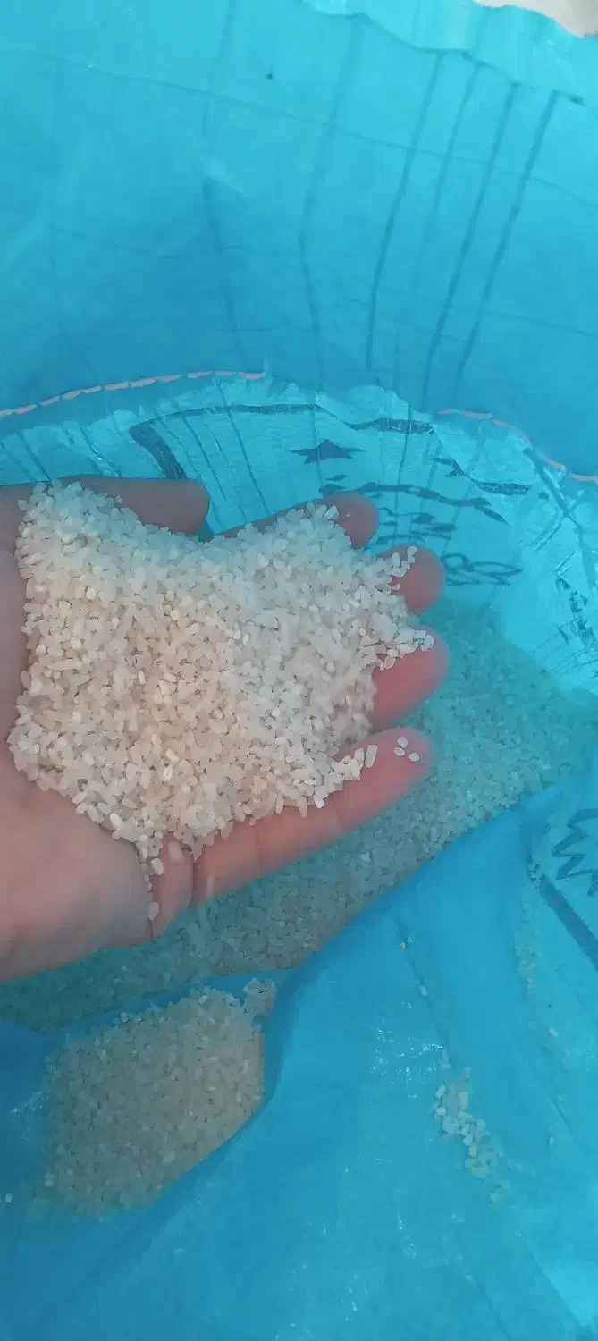 برنج نیم دانه لیزر شوده پاکستانی|خوردنی و آشامیدنی|شادگان, |دیوار