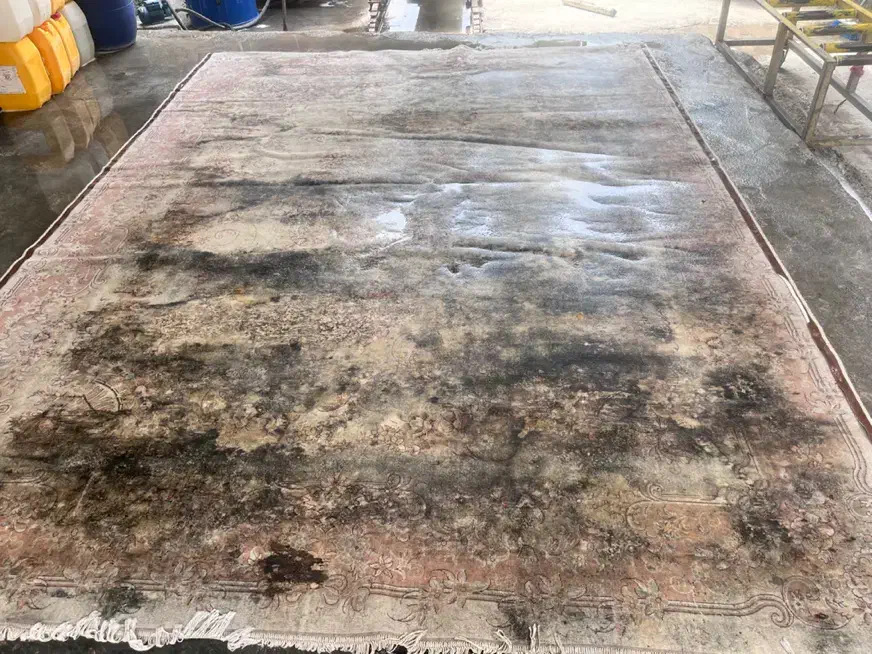 قالیشویی و پتو و مبل شویی سنبل|خدمات نظافت|ایلام, |دیوار