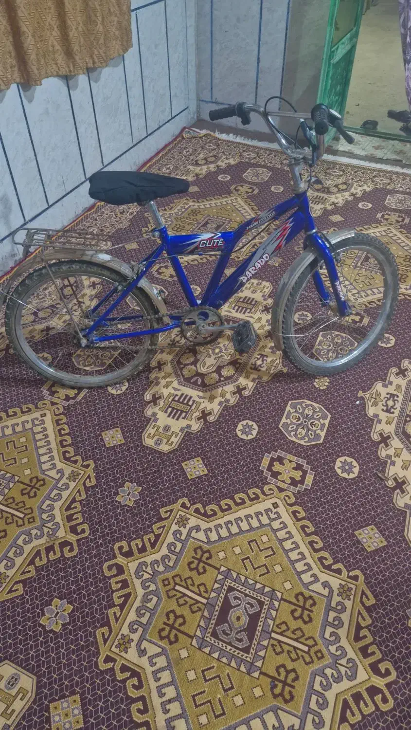 دوچرخه|دوچرخه، اسکیت، اسکوتر|رودشت (چهارمحال و بختیاری), |دیوار