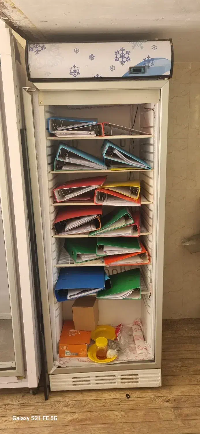 یخچال ۳ درب دو متری و یک یخچال تک درب و چرخ گوشت|فروشگاه و مغازه|طالقان, |دیوار