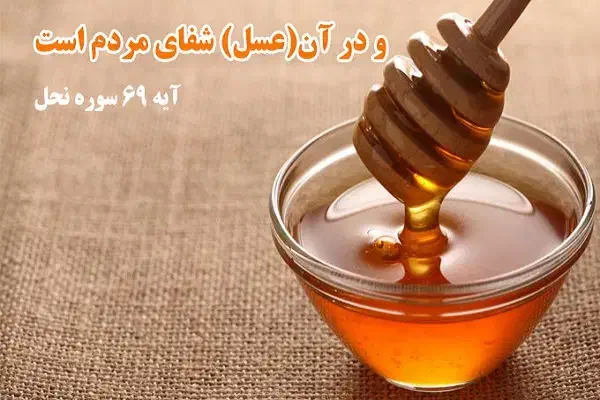 عسل درجه یک آویشن و گون|خوردنی و آشامیدنی|تهران, چهارصد دستگاه|دیوار