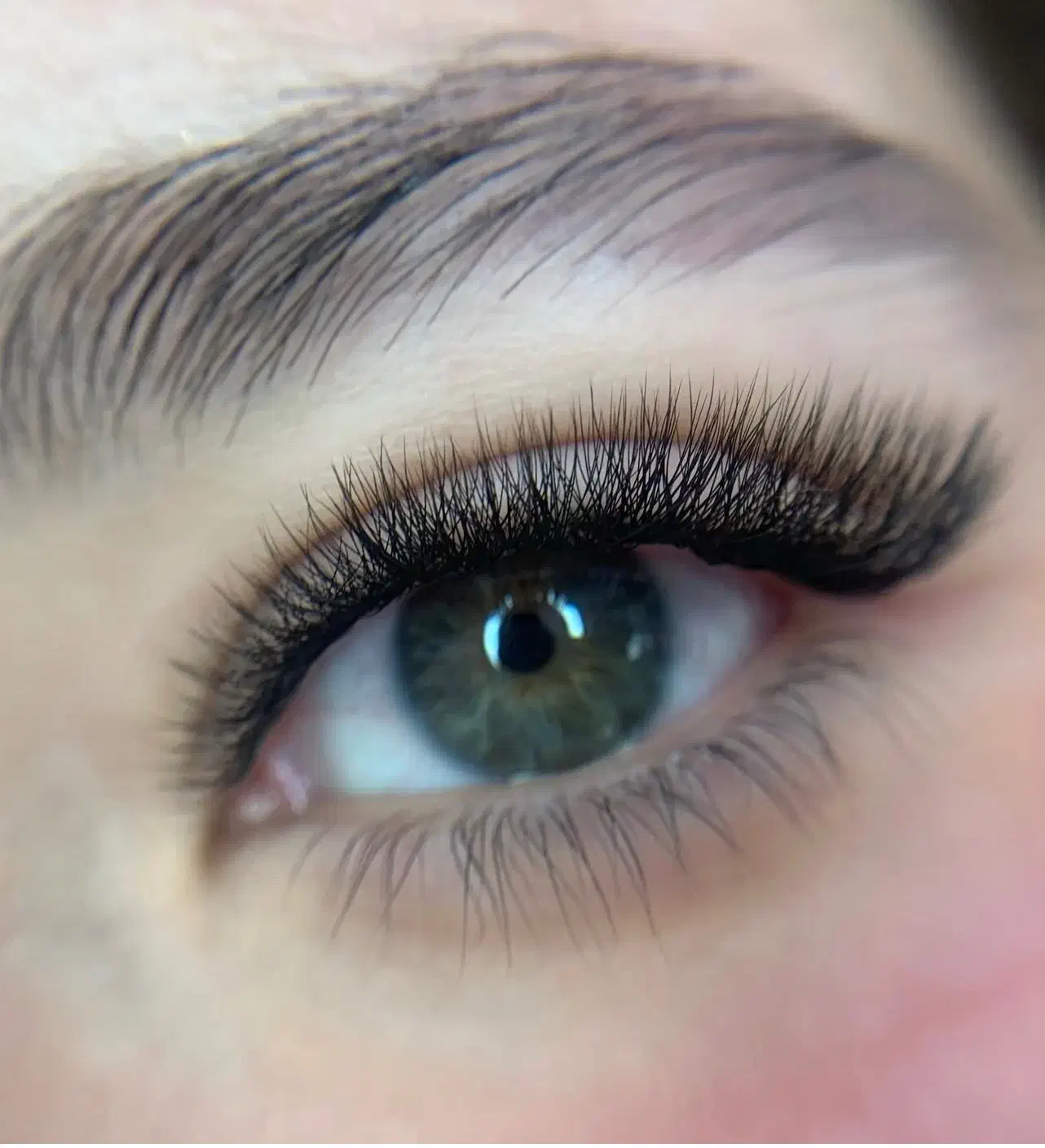 مژه|خدمات آرایشگری و زیبایی|رشت, کاکتوس|دیوار