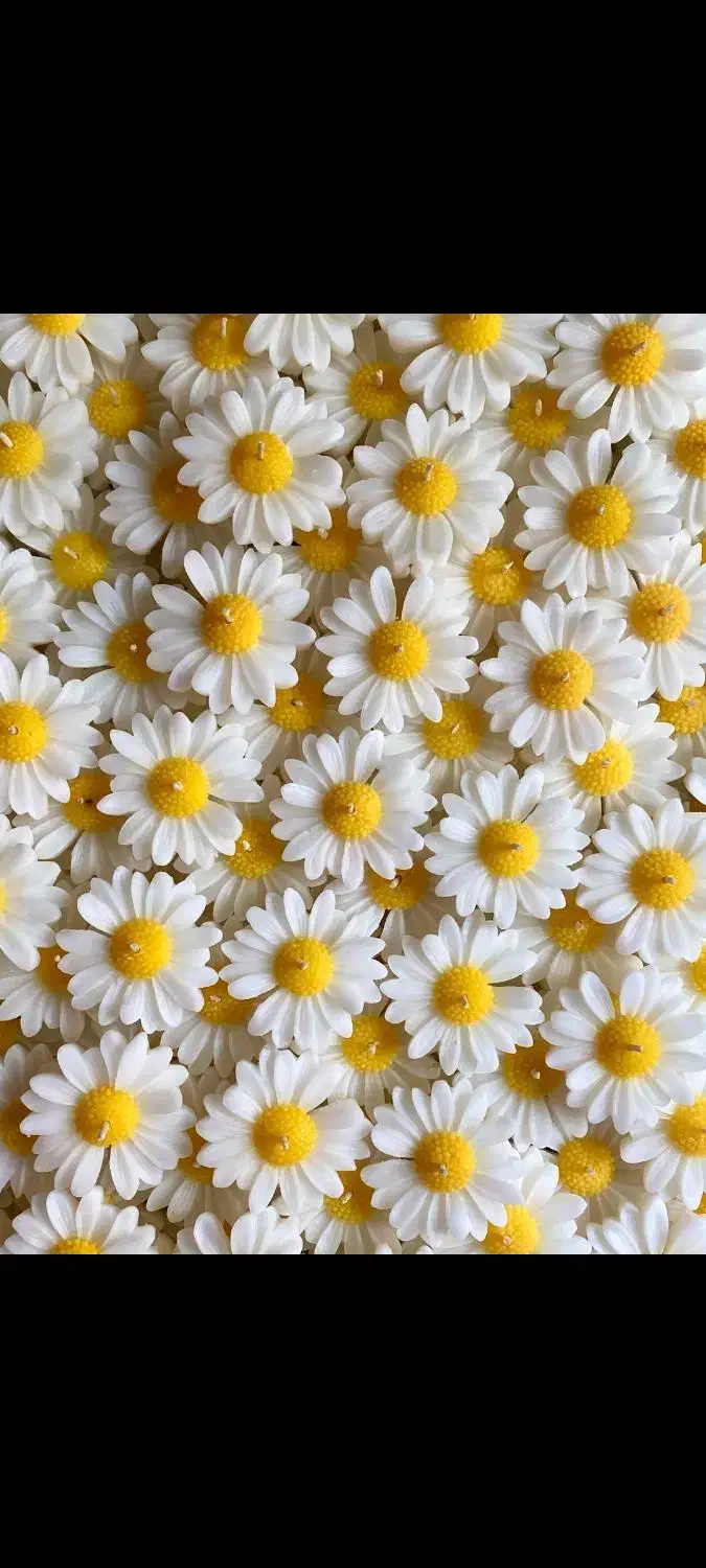 شمع|صنایع دستی و سایر لوازم تزئینی|دزفول, |دیوار