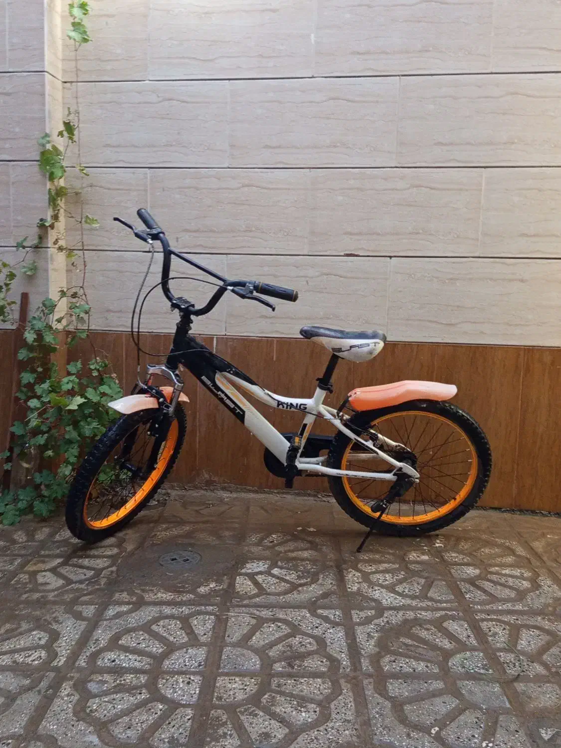 دوچرخه 20|دوچرخه، اسکیت، اسکوتر|تربتحیدریه, یحیی آباد|دیوار